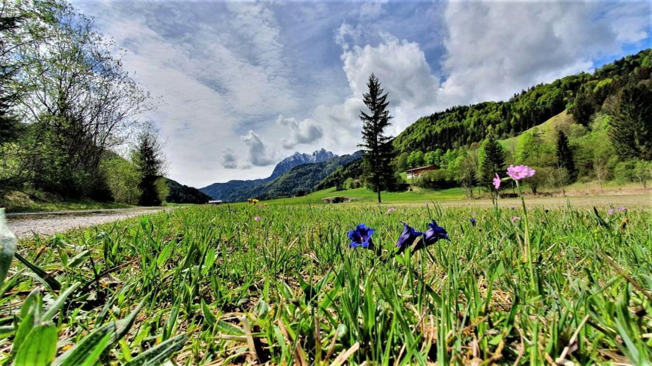 Haus Christl Am Horn Apartment Sankt Johann in Tirol Luaran gambar